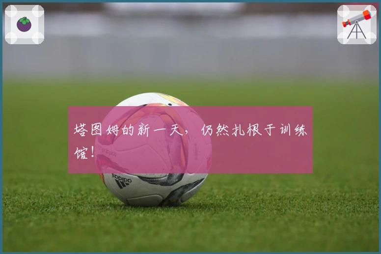 塔图姆的新一天，仍然扎根于训练馆！