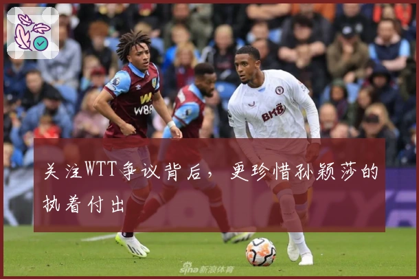 关注WTT争议背后，更珍惜孙颖莎的执着付出